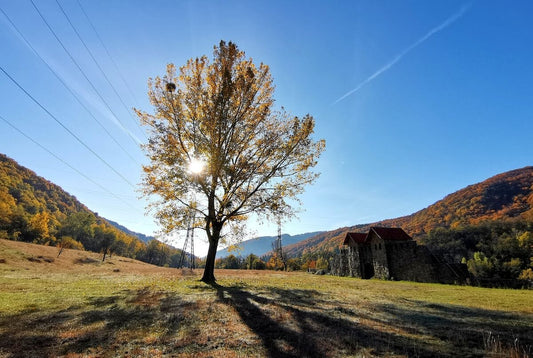Dimineață de toamnă târzie, Castrul Roman Arutela