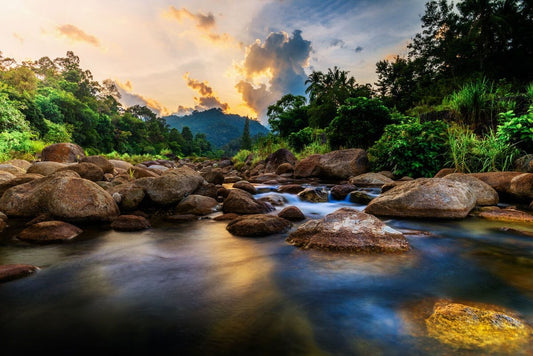 Parau printre pietre