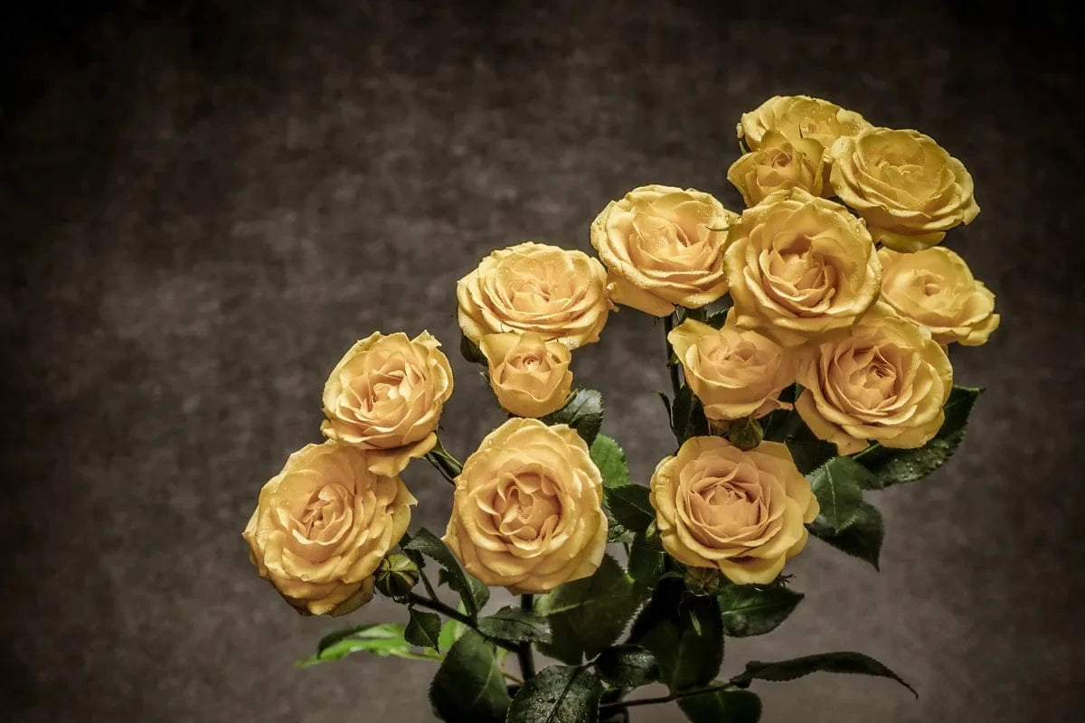 Tablou Canvas - Flori 209 Elegantă Artistică