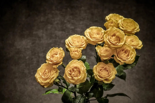 Tablou Canvas - Flori 209 Elegantă Artistică