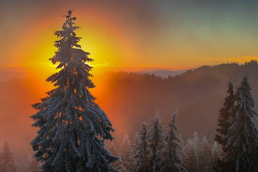 Apus de soare în Decembrie în Munții Ciucului