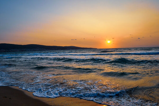 Muresan Mircea Calin