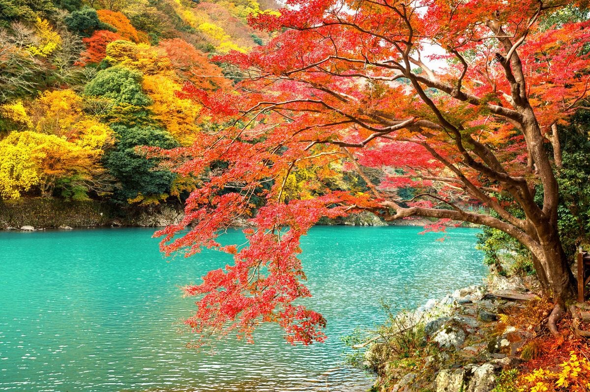 Tablou pe sticla in relief - Toamna pe rau la vale