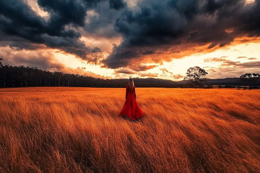 Tablou Canvas - Singura pe asfintit