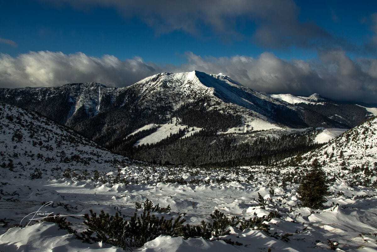 Din departari si zari albastre