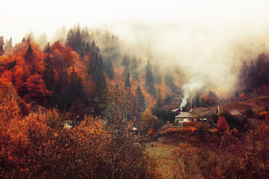 Tablou Canvas - Eleganta Toamnei in Județul Neamț