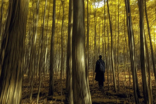 Tablou Canvas - Singur printre copaci