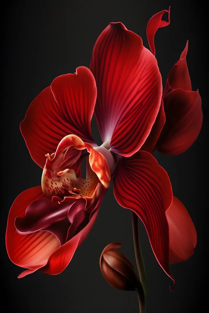 Tablou Canvas - Flori 222