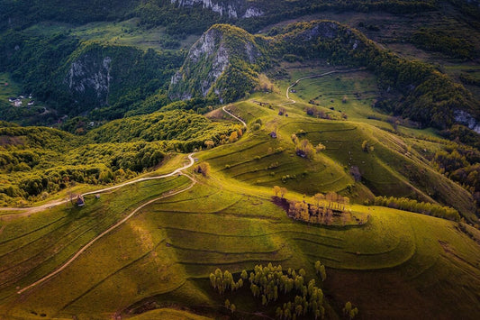 Dealurile din Dumesti