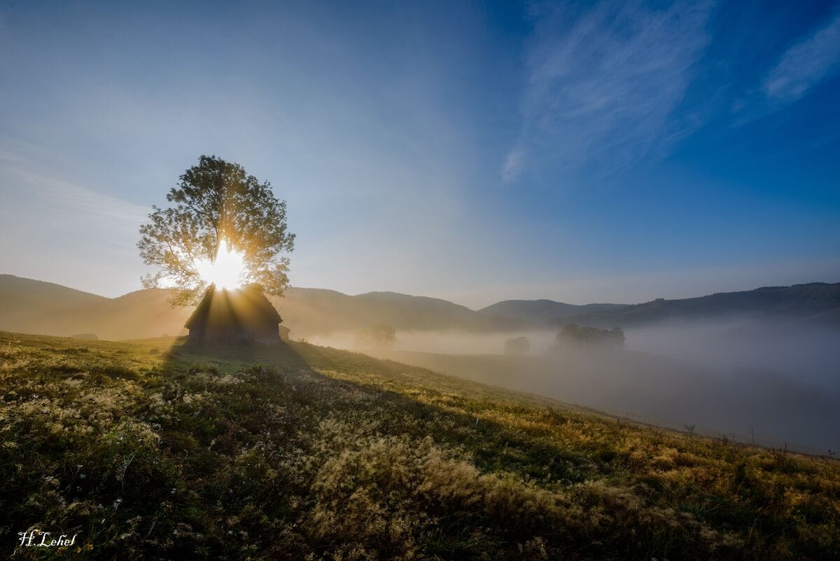 Rasarit special la Dumesti