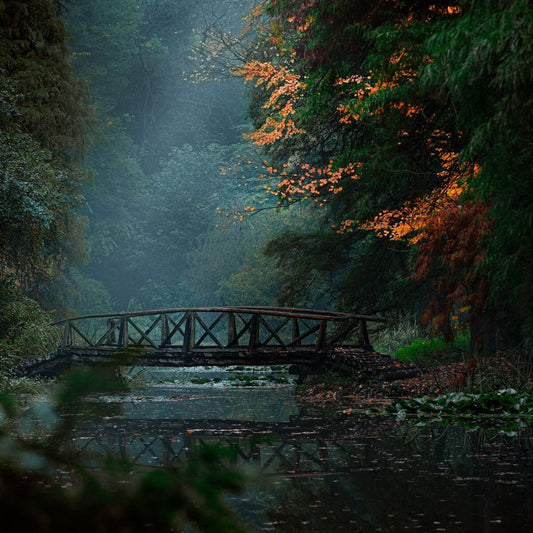 ~Schimb de anotimpuri~ Parcul Dentrologic Simeria-jud.Hunedoara