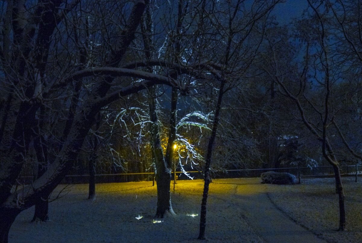 Ingeri pazitori, Arad-Romania 5.12.2017