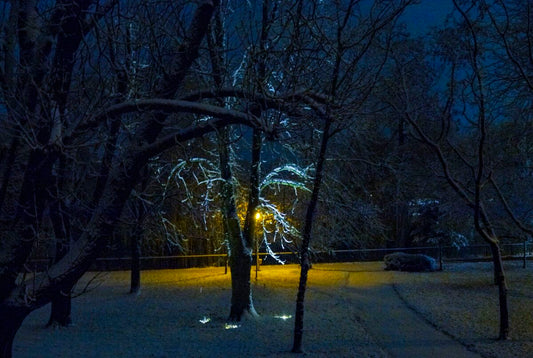 Ingeri pazitori, Arad-Romania 5.12.2017