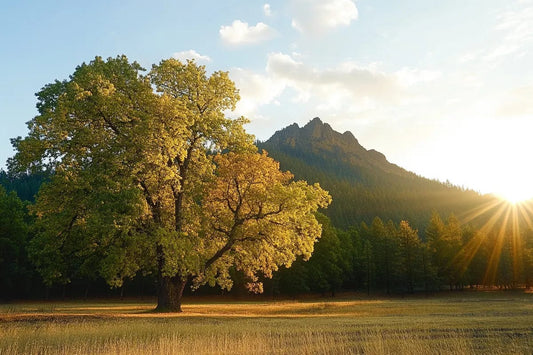 Tablou Canvas - Copac in Zare