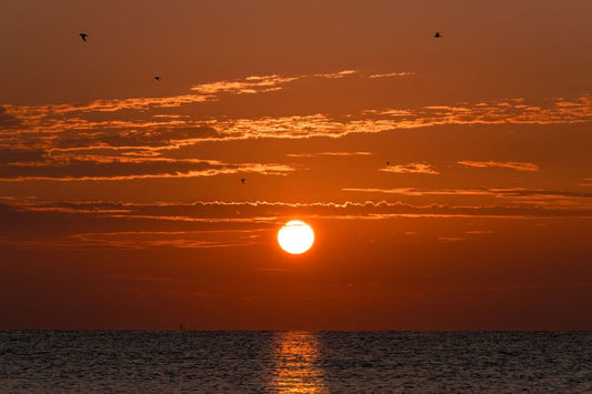 Meet me at the sunrise