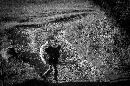 Zi de lucru in Maramureș