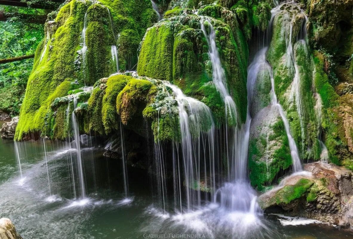 Tapet textil 1,5 X 2,2 m "Bigar, izvor de bucurie"