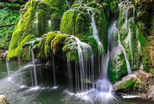 Tapet textil 1,5 X 2,2 m "Bigar, izvor de bucurie"