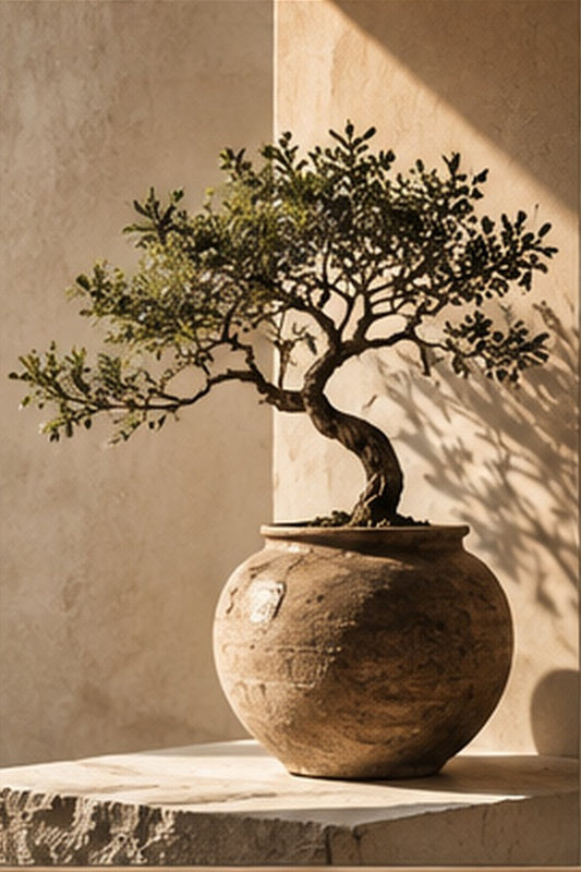 Tablou decorativ - Bonsai zen - Zibo.ro