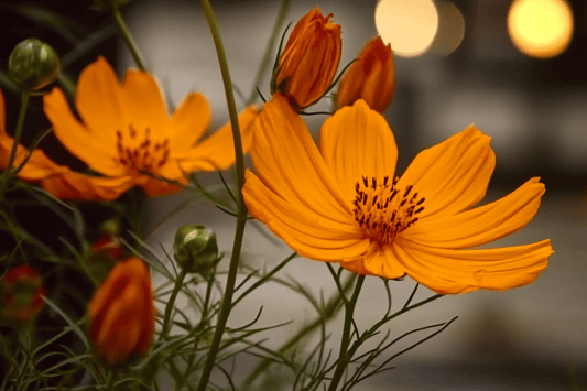 Tablou pe sticla in relief - Buchetel de flori