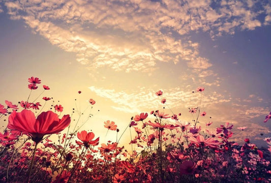 Tapet textil 1,5 X 2,2 m "Camp de flori rosii"