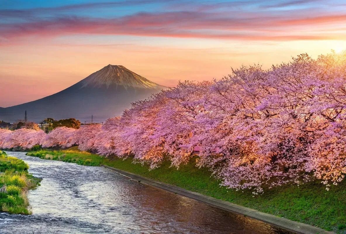 Tapet textil 1,5 X 2,2 m "Cires in floare"