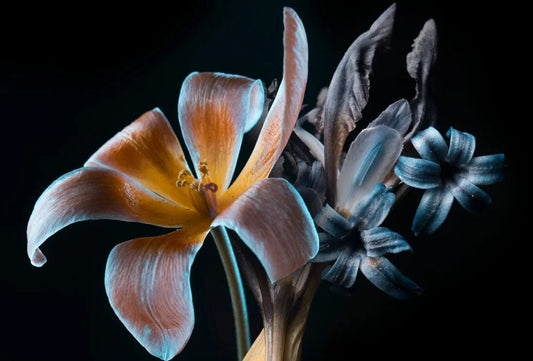 Tapet textil 1,5 X 2,2 m "Flori portocalii si albastre"