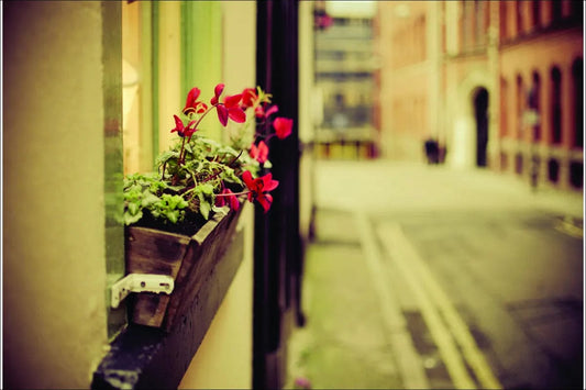 Tablou Canvas - Ghiveci cu Flori