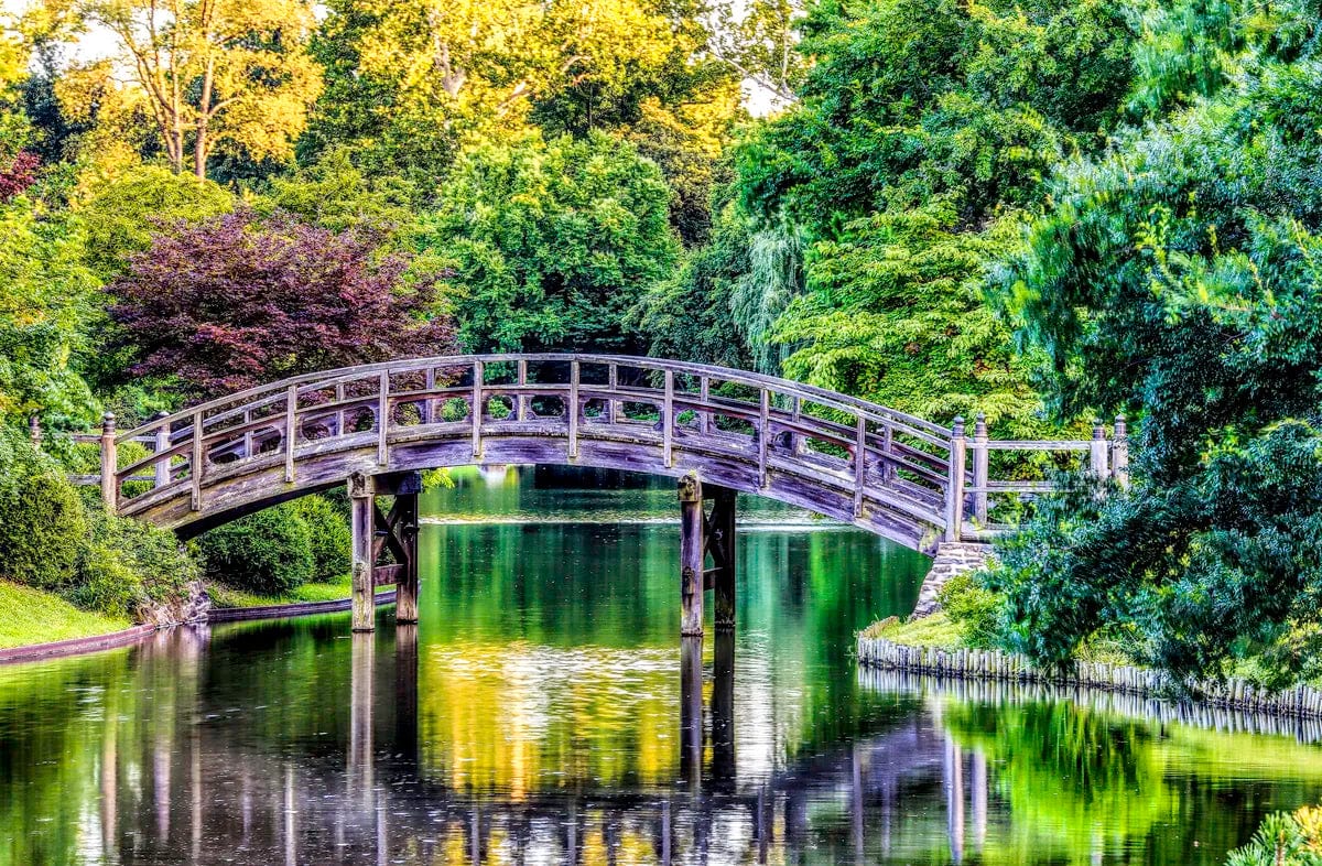 Tablou Canvas - Gradina Botanica Missouri