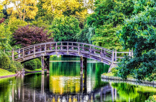 Tablou Canvas - Gradina Botanica Missouri