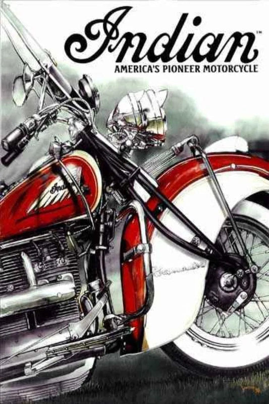 Tablou Canvas - Indian