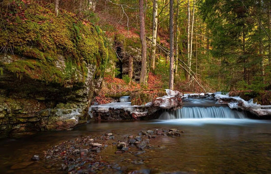 Tapet textil 1,5 X 2,2 m "Intalnirea anotimpurilor"