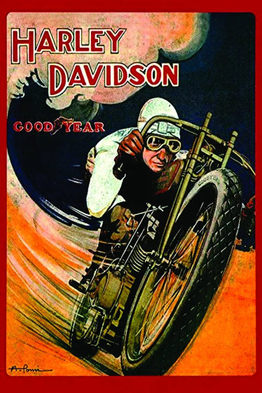 Tablou Canvas - In Viteza