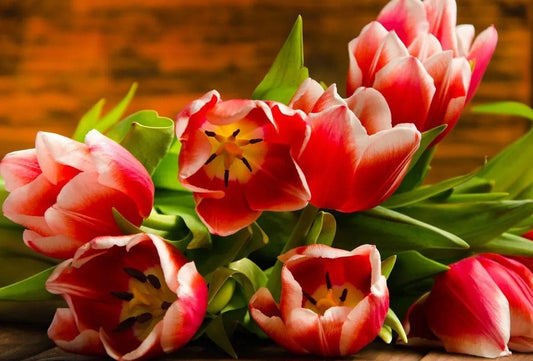 Tapet textil 1,5 X 2,2 m "Lalele rosii"