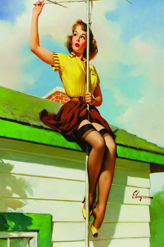 Tablou Canvas - PIN UP 45