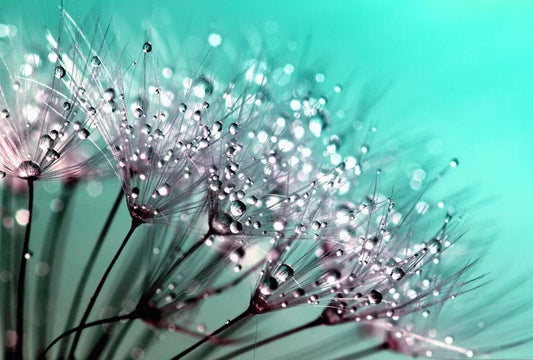 Tapet textil 1,5 X 2,2 m "Papadie"