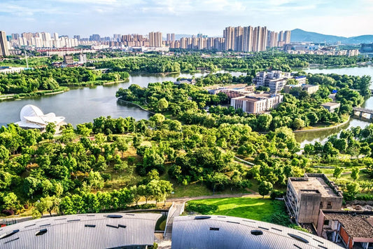 Tablou Canvas - Parcul Urban Plin de Viata