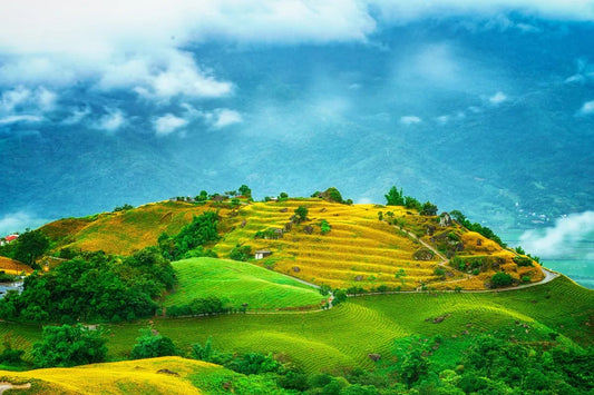 Tablou Canvas - Peisaj Terase de Orez