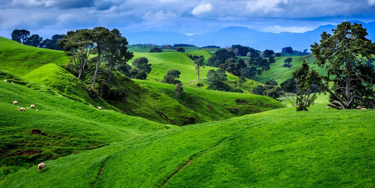 Tablou Canvas - Peisaj Deluros Elegant