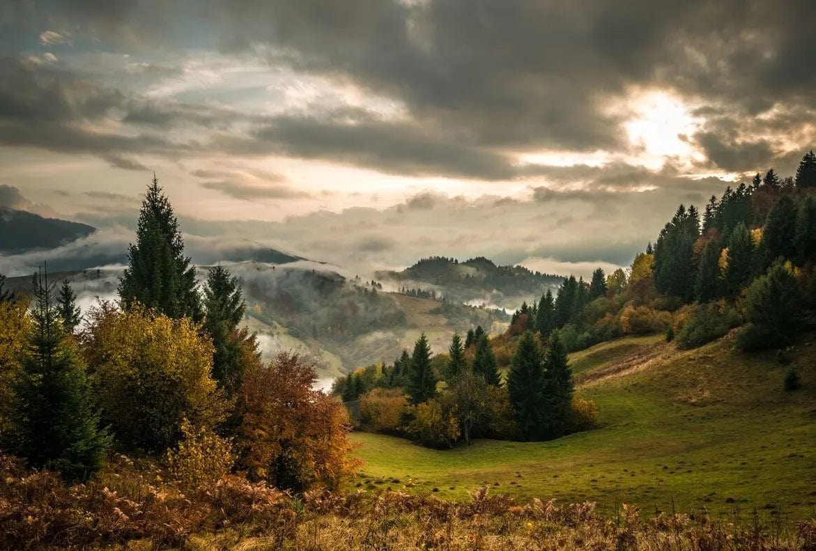 Tapet textil 1,5 X 2,2 m "Peisaj deluros"