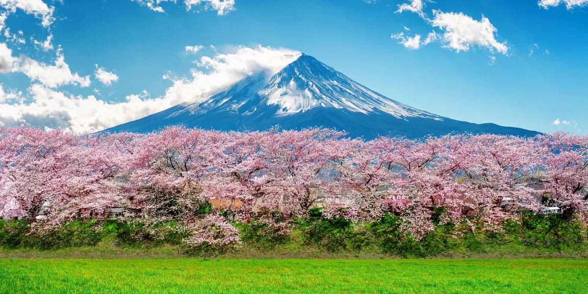 Tablou Canvas - Peisaj de Primavara la Munte