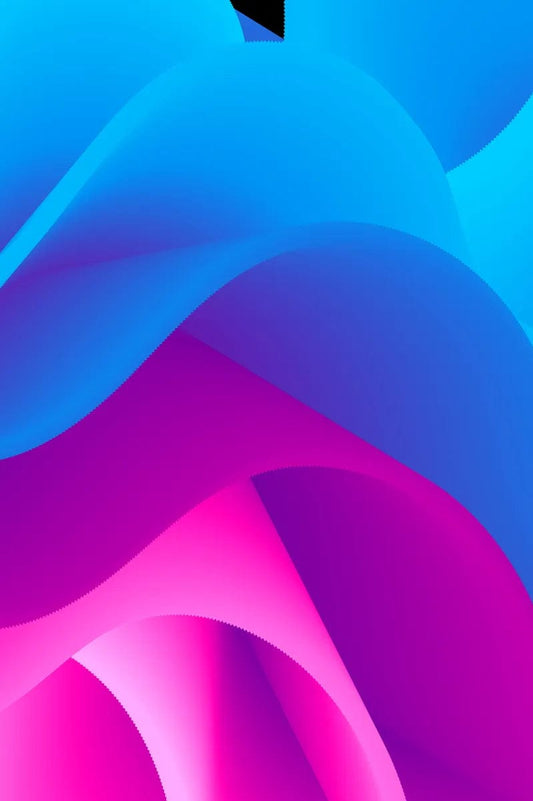 Tablou Canvas - Petale Abstract Elegante