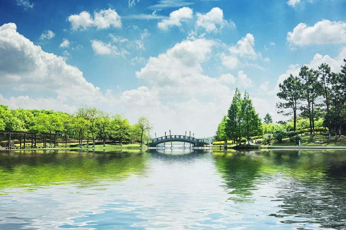 Tablou Canvas - Podet pe Lac