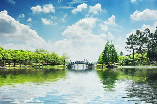 Tablou Canvas - Podet pe Lac