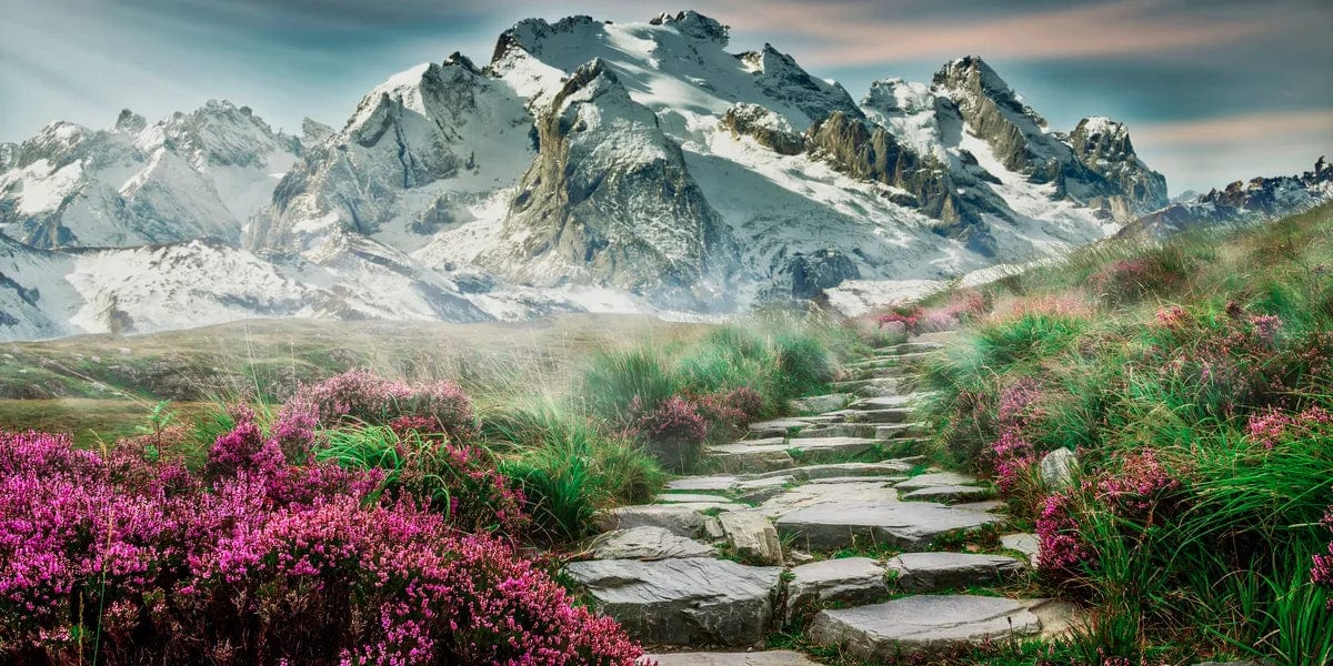 Tablou Canvas - Primavara la Munte