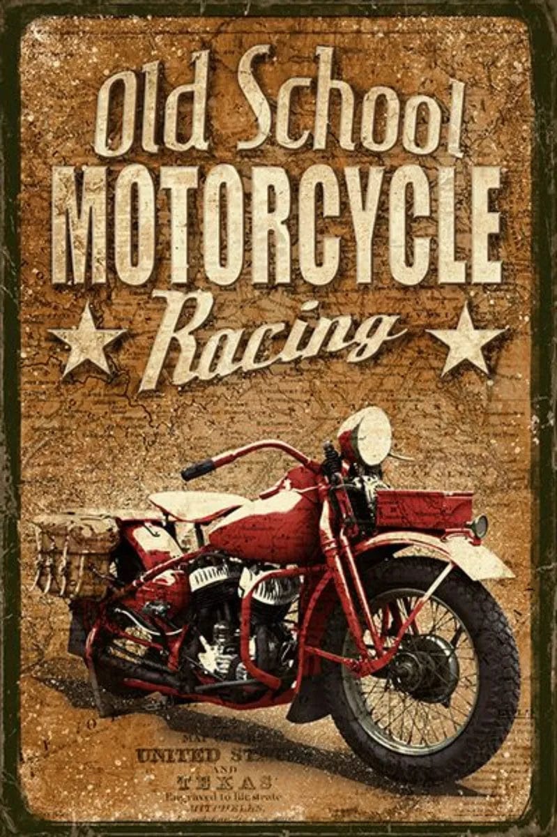 Tablou Canvas - Racing Elegance