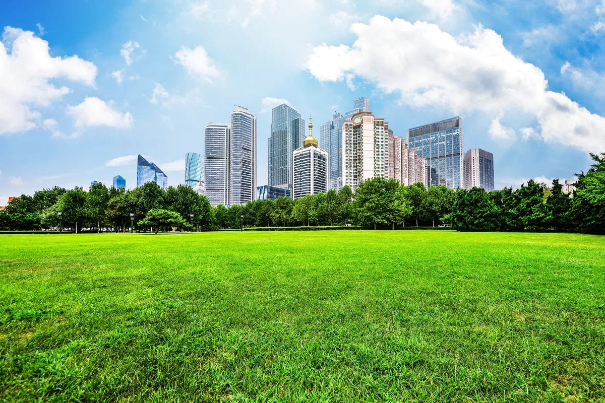 Tablou Canvas - Eleganta Naturii in Shanghai Forest Park