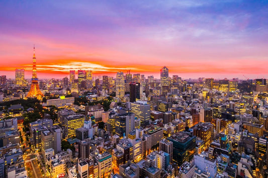 Tablou Canvas - Peisaj Tokyo