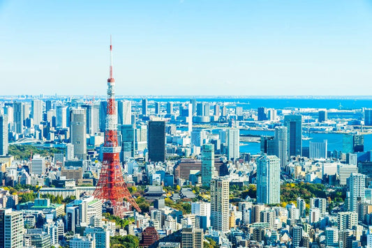 Tablou Canvas - Turnul Tokio