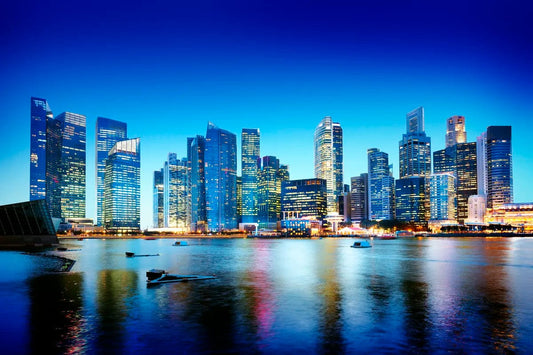 Tablou Canvas - Vedere Singapore